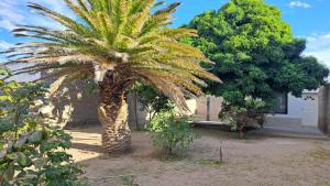 En have udenfor Casa Tierra