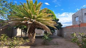 En have udenfor Casa Tierra