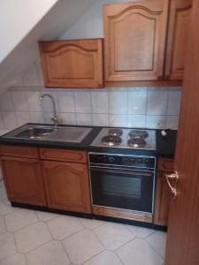 Η κουζίνα ή μικρή κουζίνα στο Vila Frenki