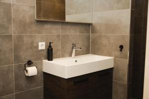 a bathroom with a white sink and a mirror at Vakantiewoning de Boshoorn in Serooskerke +20 photos