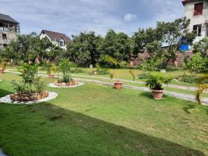 a garden with trees and potted plants on the grass at Elira 2 chambres rez-de-chaussée in Kinshasa
