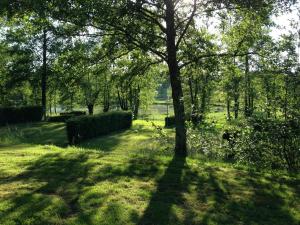 Zahrada ubytování Camping Domaine de Mepillat