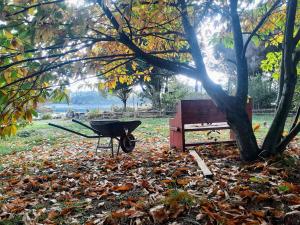 Φωτογραφία από το άλμπουμ του Cabaña en tu propia Isla σε Quinched