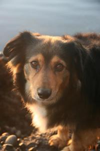 Φωτογραφία από το άλμπουμ του Cabaña en tu propia Isla σε Quinched