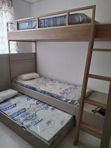 two bunk beds in a room with a ladder at Apartamento Novo Aconchegante in Balneário Camboriú