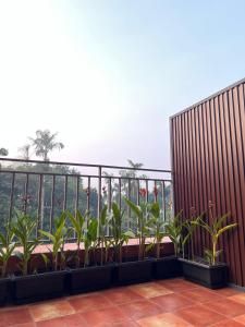 Sahya Regency的阳台或露台