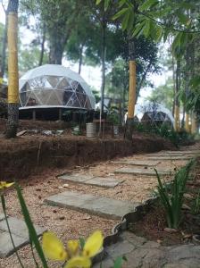 Un jardín fuera de vanderman land camp