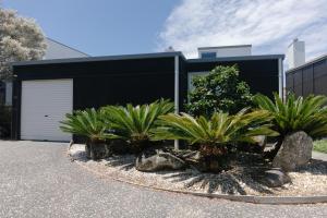 a garden with palm trees in front of a building at Charming Omaha beach house in Omaha +19 photos