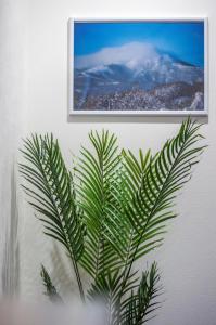 Fotografie z fotogalerie ubytování 札幌市中心 中島公園旁 三房 2廁所 2淋浴間 最大8人 可停3台車 近市電徒步2分鐘 v destinaci Sapporo