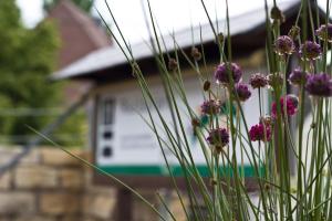 Foto dalla galleria di Hotel Berg a Dannenfels
