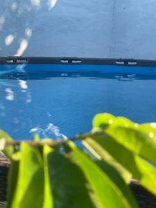 Naturlandskabet i nærheden af feriehuset