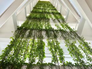 Foto dalla galleria di Marbella 2bedroom Beachfrom Apt a San Pedro de Macorís