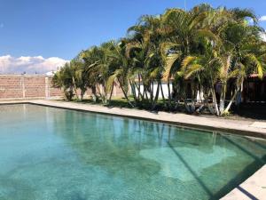 a swimming pool with palm trees in front of a building at Lodging And Tranquility in Tlaquiltenango