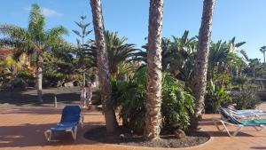Fotografia z galérie ubytovania Oasis Royal 2 Dormitorios Piscinasfibra Optica v destinácii Corralejo