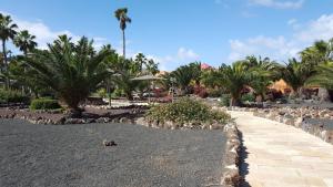 Fotografia z galérie ubytovania Oasis Royal 2 Dormitorios Piscinasfibra Optica v destinácii Corralejo