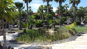Fotografia z galérie ubytovania Oasis Royal 2 Dormitorios Piscinasfibra Optica v destinácii Corralejo
