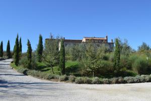 Fotografia z galérie ubytovania Holidays in apartment with swimming pool in Tuscany Siena v destinácii Asciano