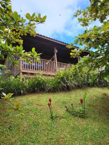 two flowers in the grass in front of a house at Jaco-Carara 3 bdrm surrounded by rainforest with private pool in Carara