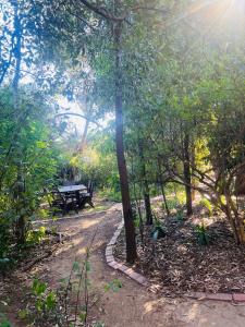 Un camino en un parque con un banco en la distancia. en Bird Paradise In Bush setting, en Bendigo