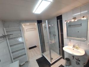 a bathroom with a shower and a sink and a toilet at Kaiserberg-Apartments "Auf dem Hohenstaufen" in Göppingen +30 photos