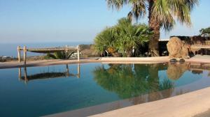 a pool of water with palm trees and the ocean at Dammusi Ambra in Pantelleria