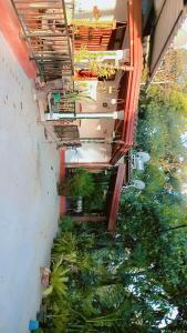 A balcony or terrace at Littleadems View