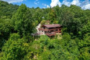 Příroda nedaleko vily