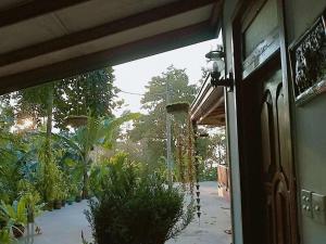 A garden outside Littleadems View