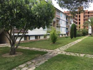 Zahrada ubytování Home Ibiza Salou