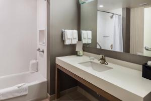 Koupelna v ubytování Courtyard by Marriott Elmira Horseheads