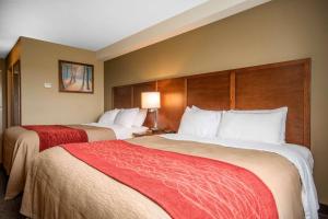 Voodi või voodid majutusasutuse Comfort Inn & Suites toas