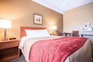 Voodi või voodid majutusasutuse Comfort Inn & Suites toas