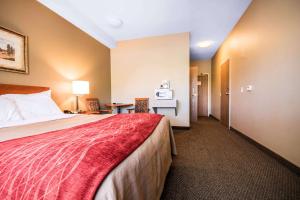 Voodi või voodid majutusasutuse Comfort Inn & Suites toas