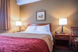Voodi või voodid majutusasutuse Comfort Inn & Suites toas