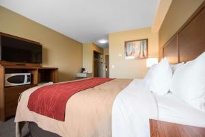 Voodi või voodid majutusasutuse Comfort Inn & Suites toas