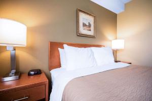 Voodi või voodid majutusasutuse Comfort Inn & Suites toas