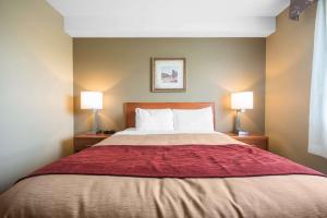 Voodi või voodid majutusasutuse Comfort Inn & Suites toas