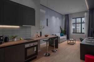 Kuchyň nebo kuchyňský kout v ubytování Hebrard Industrial Suites + 37 fotografií