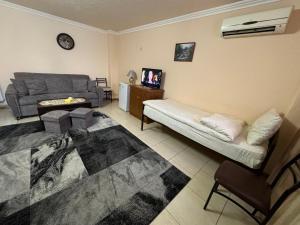 Μια τηλεόραση ή/και κέντρο ψυχαγωγίας στο ALEM Hotel