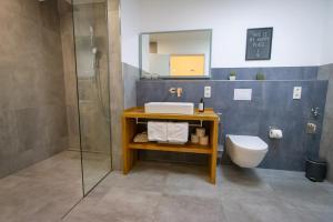 een badkamer met wastafel, douche en toilet bij Moselhaus Krieger in Traben-Trarbach +57 foto's