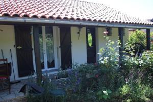 Taman di luar Les kiwis