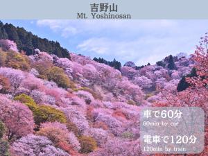度假屋周边自然景观