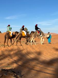 Hosté ubytování Luxury Suerte Camp