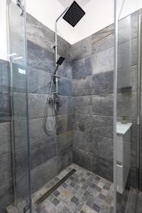 een badkamer met een douche met een glazen deur bij Dream Apartman Aliga II in Balatonvilágos +7 foto's