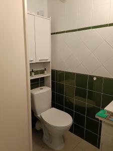 ein Badezimmer mit einem weißen WC und grünen Fliesen in der Unterkunft VILLA CITRONNELLE Grande maison 2 chambres avec jardin proche plage - Clim - Wifi in Saint Cyprien Plage + 11 Fotos