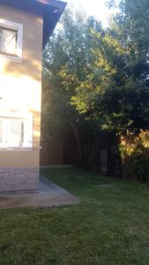 a tree in a yard next to a house at Casa Praga in Ostende