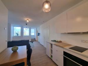 Kuchyň nebo kuchyňský kout v ubytování Appartements MONACO La Turbie