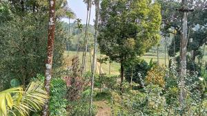 Aed väljaspool majutusasutust Diamond Villas Wayanad Entire Villa booking