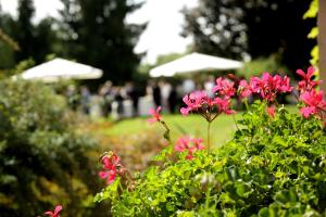 A garden outside Albergo Ristorante Belvedere