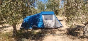 a blue and white tent in the middle of trees at חוות נועם במדבר - noam farm in Mitzpe Ramon